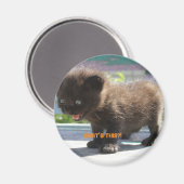 マグネットキャットの恐怖 マグネット (正面/裏面)