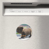 マグネットキャットの恐怖 マグネット (インサイチュ (食洗機))