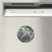 マグネットコアラとベビーオーストラリア写真 マグネット (インサイチュ (食洗機))