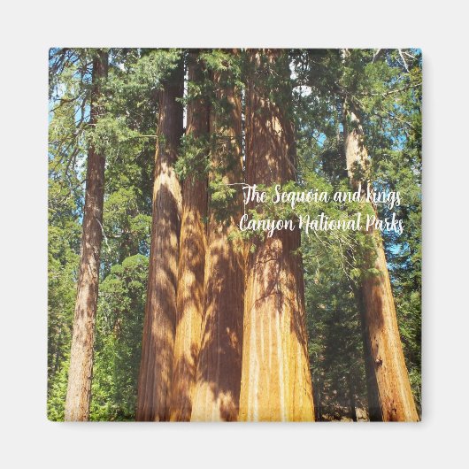 マグネットザセコイア&キングスキャニオン国立公園 マグネット (正面)