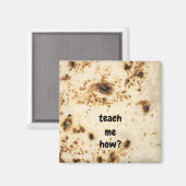 マグネットトルティーヤ料理キッチン マグネット (正面/裏面)