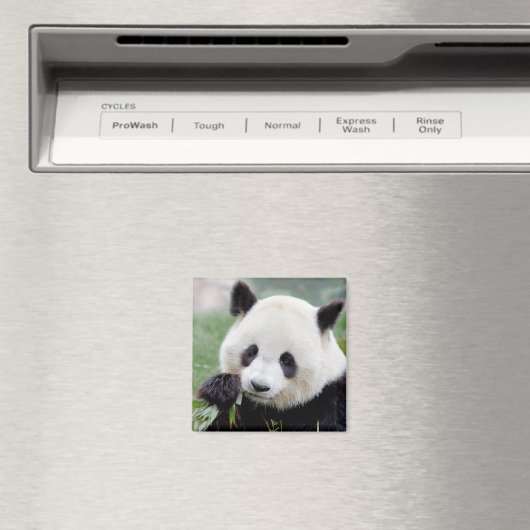 マグネットフォトジャイアントパンダ、動物0407。 マグネット (インサイチュ (食洗機))