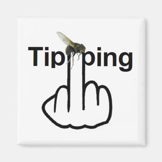 マグネットフライ転倒フリップ マグネット (正面)