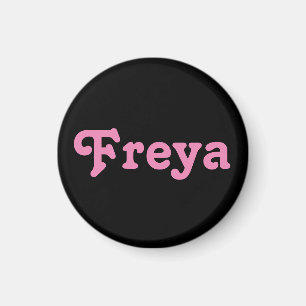 マグネットフレヤ マグネット