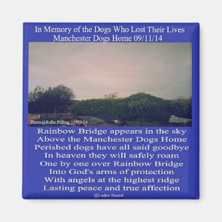 マグネットマンチェスターレインボーブリッジの詩 マグネット