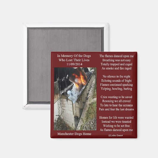 マグネットマンチェスター犬の火の詩 マグネット (正面/裏面)