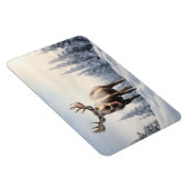 マグネットムース マグネット (右側)