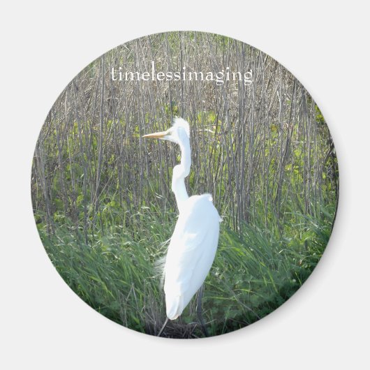 マグネットラウンド、白いクレーンの写真。 マグネット (正面)