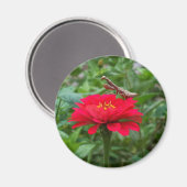 マグネットラウンド/祈ズマンティス&ジニー マグネット (正面/裏面)