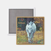 マグネットロバ01 マグネット (正面/裏面)