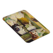 マグネットヴィンテージアンティークかわいい子猫の猫ザリガニ マグネット (右側)