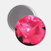 マグネット上のドロッ花びら マグネット (正面/裏面)