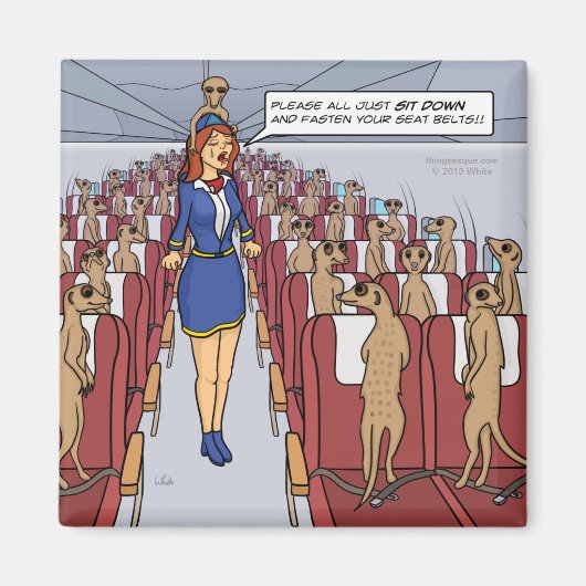 マグネット上の飛行機 マグネット (正面)