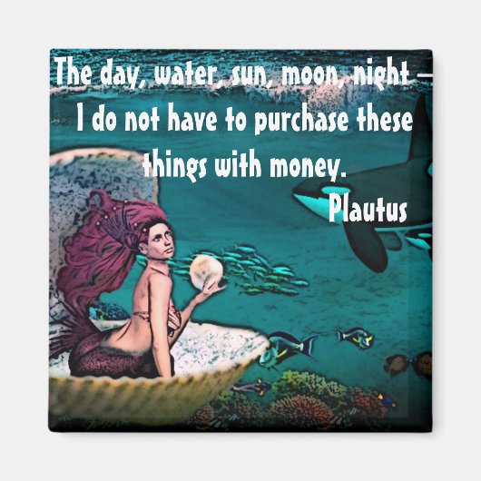 マグネット付き引用文バイプラウトス マグネット (正面)