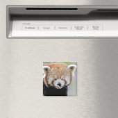 マグネット写真の赤パンダ。パンダルークス。 マグネット (インサイチュ (食洗機))