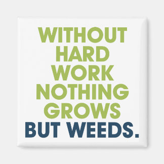 マグネット引用文 マグネット