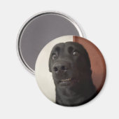 マグネット怖い犬ミーム マグネット (正面/裏面)