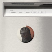 マグネット怖い犬ミーム マグネット (インサイチュ (食洗機))