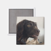 マグネット混成犬ミーム マグネット (正面/裏面)