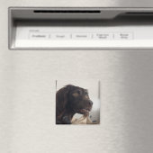 マグネット混成犬ミーム マグネット (インサイチュ (食洗機))