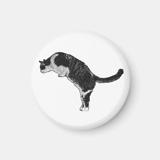 マグネット猫のディテール マグネット (正面)