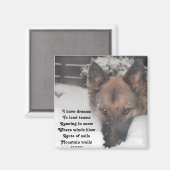 マグネット私はラディー・バセットの夢の詩を持っている マグネット (正面/裏面)