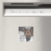 マグネット私はラディー・バセットの夢の詩を持っている マグネット (インサイチュ (食洗機))