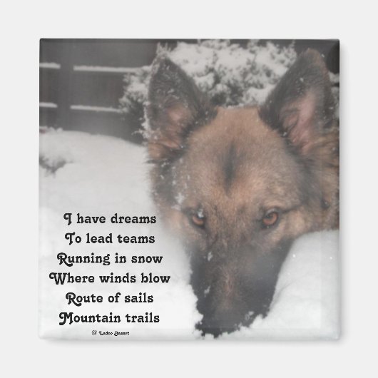 マグネット私はラディー・バセットの夢の詩を持っている マグネット (正面)