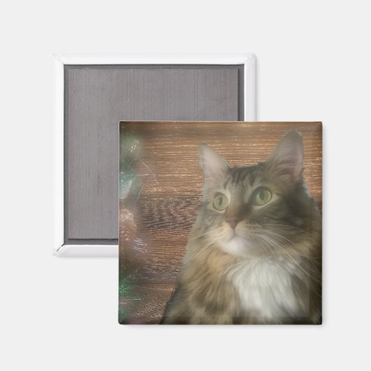 マグネット (正面/裏面)