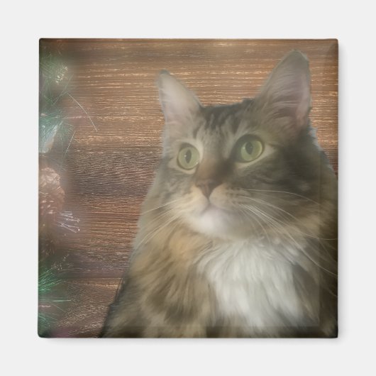 マグネット (正面)