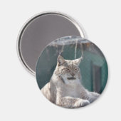 マグネット09 マグネット (正面/裏面)