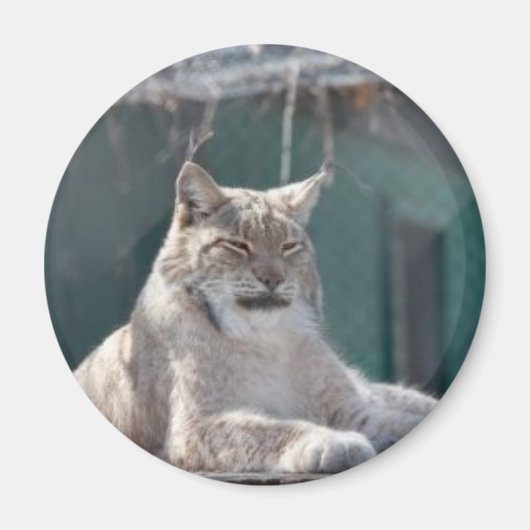 マグネット09 マグネット (正面)