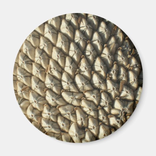 マグネット – ひまわり種子 (正面)