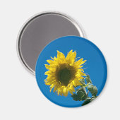マグネット – ひまわり (正面/裏面)