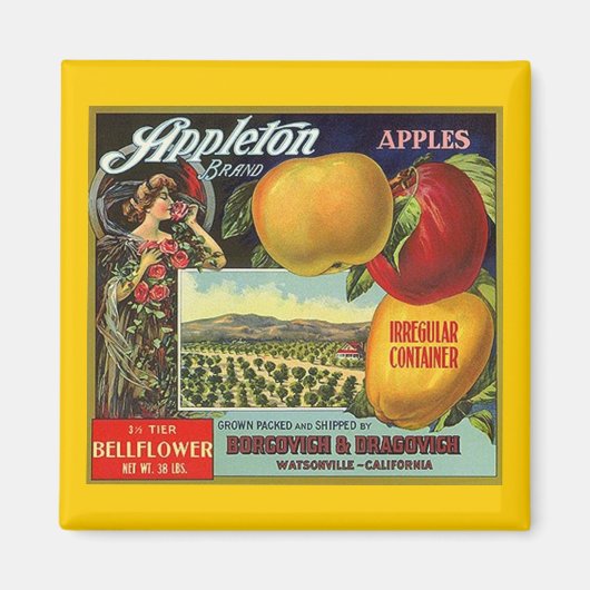 マグネット～アップルトンブランドりんごヴィンテージフルーツラベル マグネット (正面)