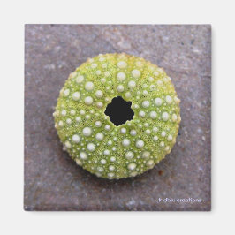 マグネット – ウニ