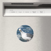 マグネット：カモメの外観 マグネット (インサイチュ (食洗機))