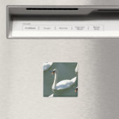 マグネット – カラーの白鳥 (インサイチュ (食洗機))