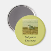 マグネット – カリフォルニアの夢 (正面/裏面)