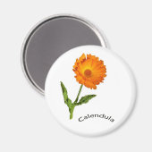 マグネット – カレンダーと文字 (正面/裏面)