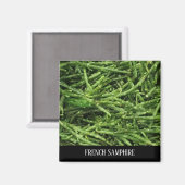 マグネット – サフランスのンプレ (正面/裏面)