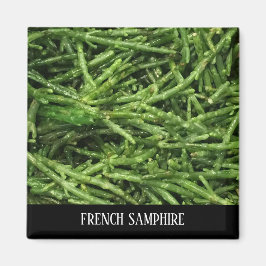 マグネット – サフランスのンプレ