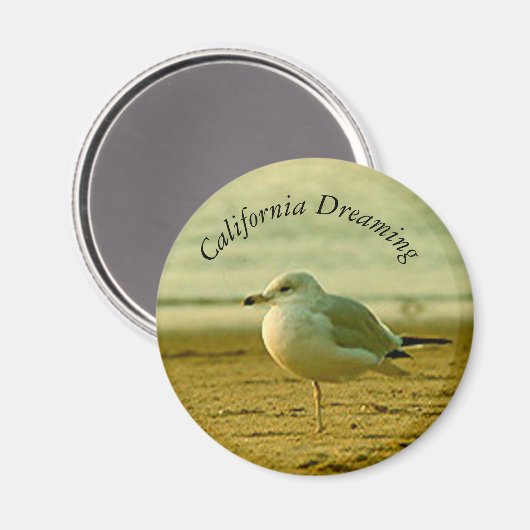 マグネット – シーガル夢 (正面/裏面)