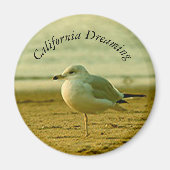 マグネット – シーガル夢 (正面)