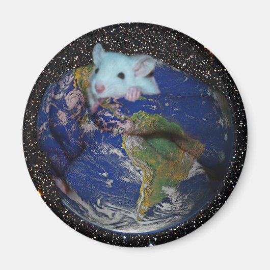 マグネット：スターリーワールドラット マグネット (正面)