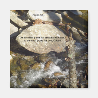 マグネット:ストリームPsalm マグネット