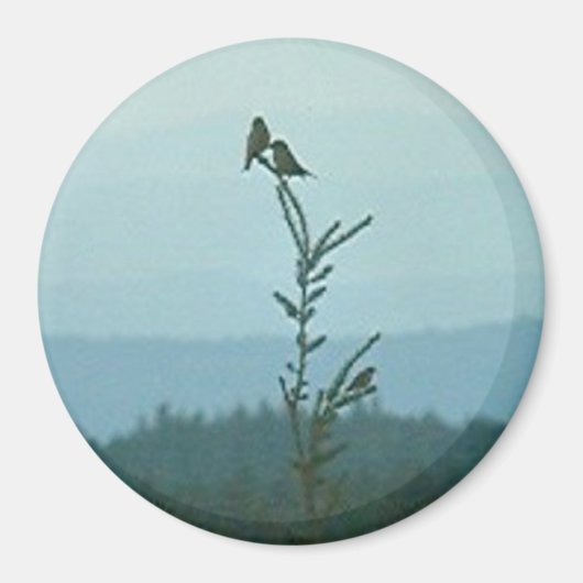 マグネット – トップ・オブ・ワールド (正面)