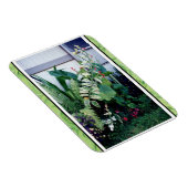 マグネット・トロピカルガーデン マグネット (右側)