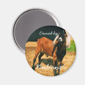 マグネット – ヌビアン所有! (正面/裏面)