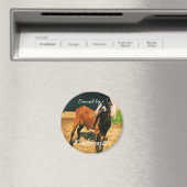 マグネット – ヌビアン所有! (インサイチュ (食洗機))